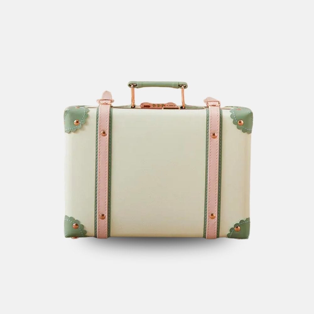 Vanity Makeup Vanity Case