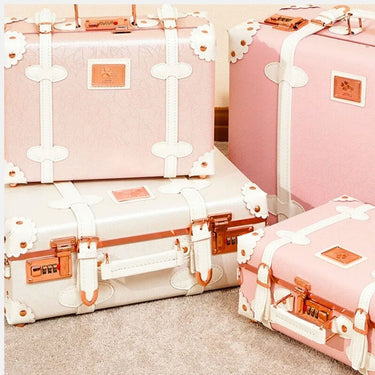 Vanity Rose Gold Vanity Case