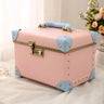 Vanity vanity case rigide Rose Et Bleu